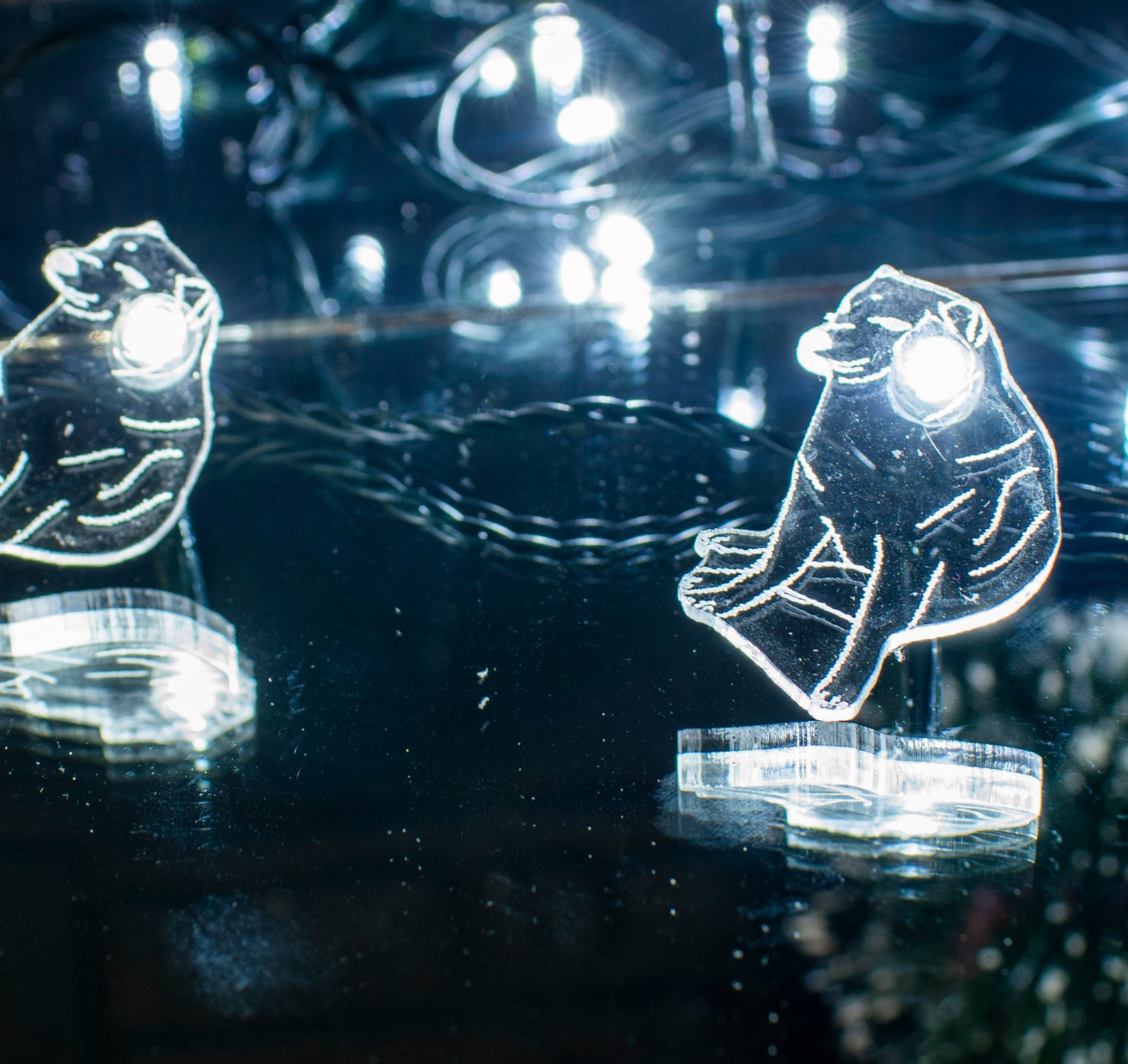Luces Navideñas PERSONALIZADAS