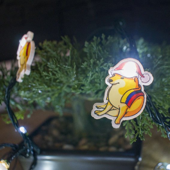 Luces Navideñas PERSONALIZADAS