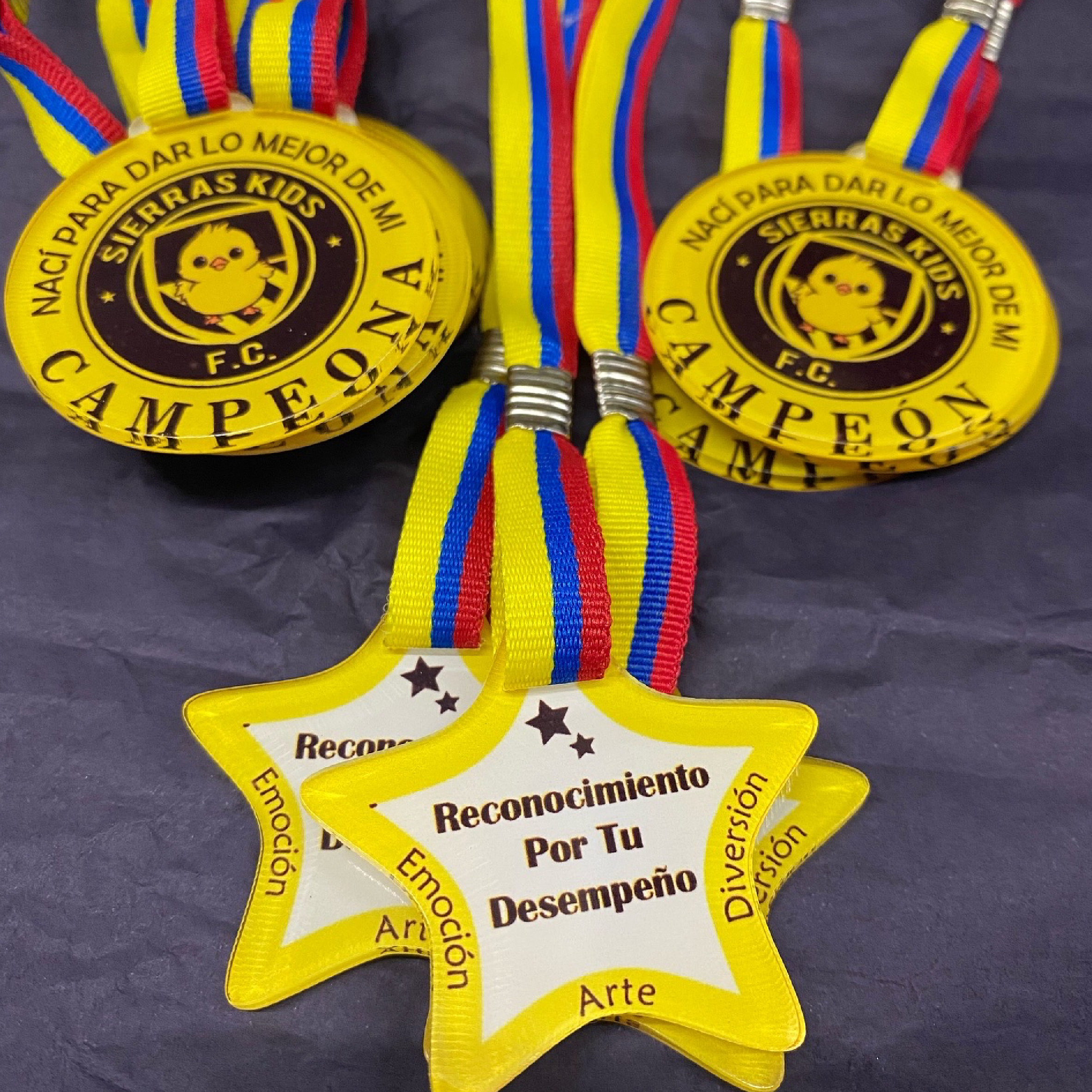 Medallas Color ó Translúcido 1 cara