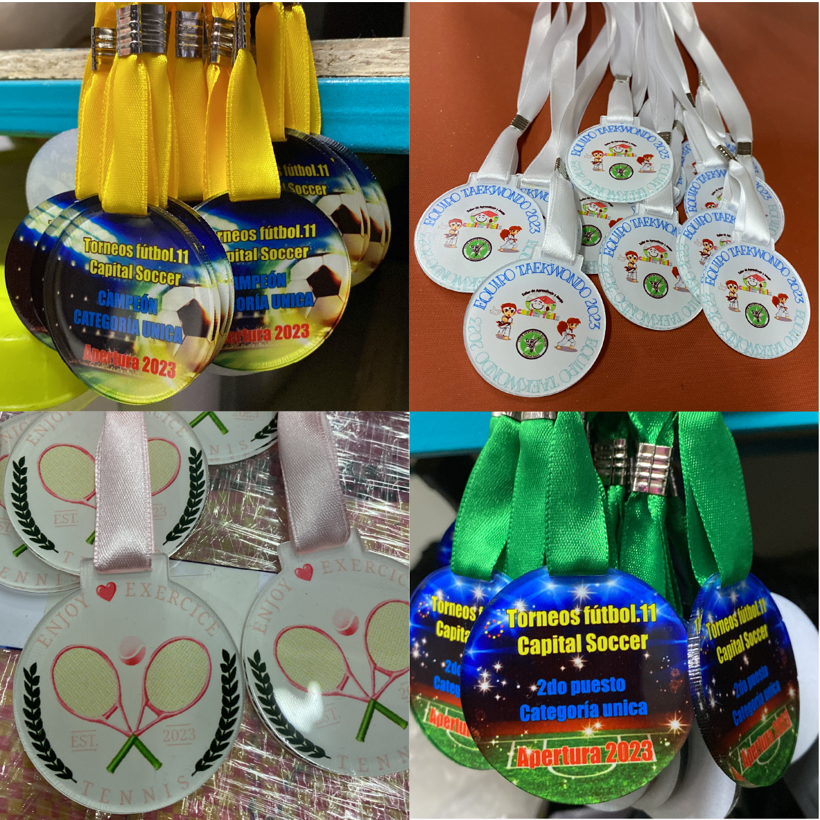 Medallas Color ó Translúcido 1 cara