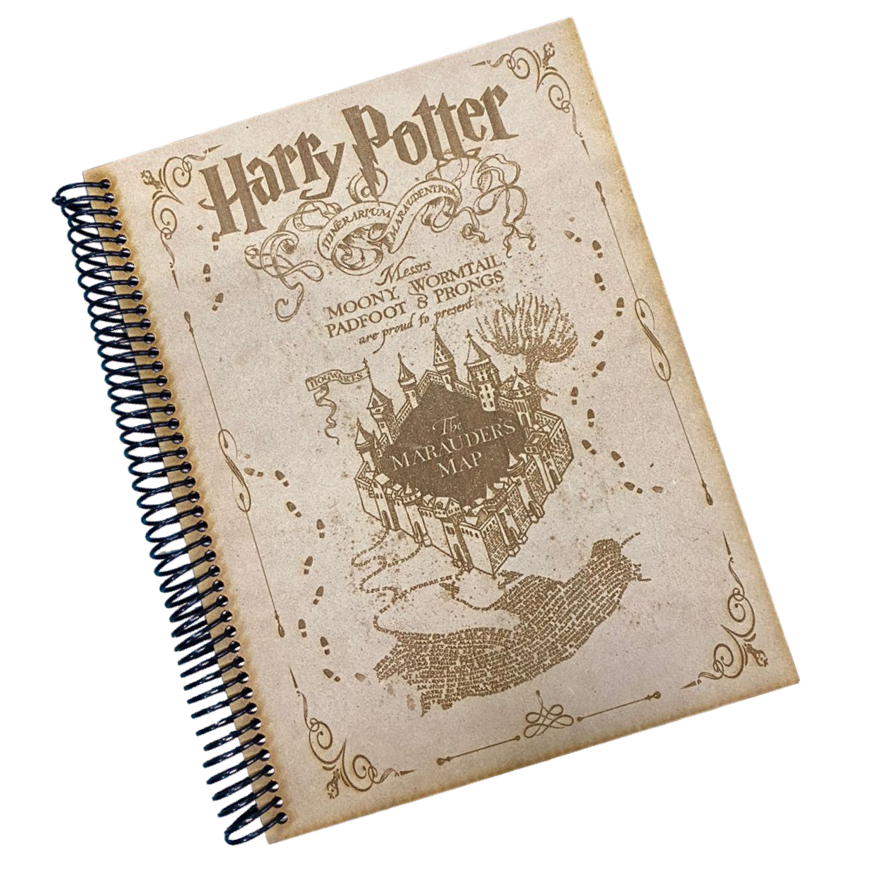 Caja Harry Potter