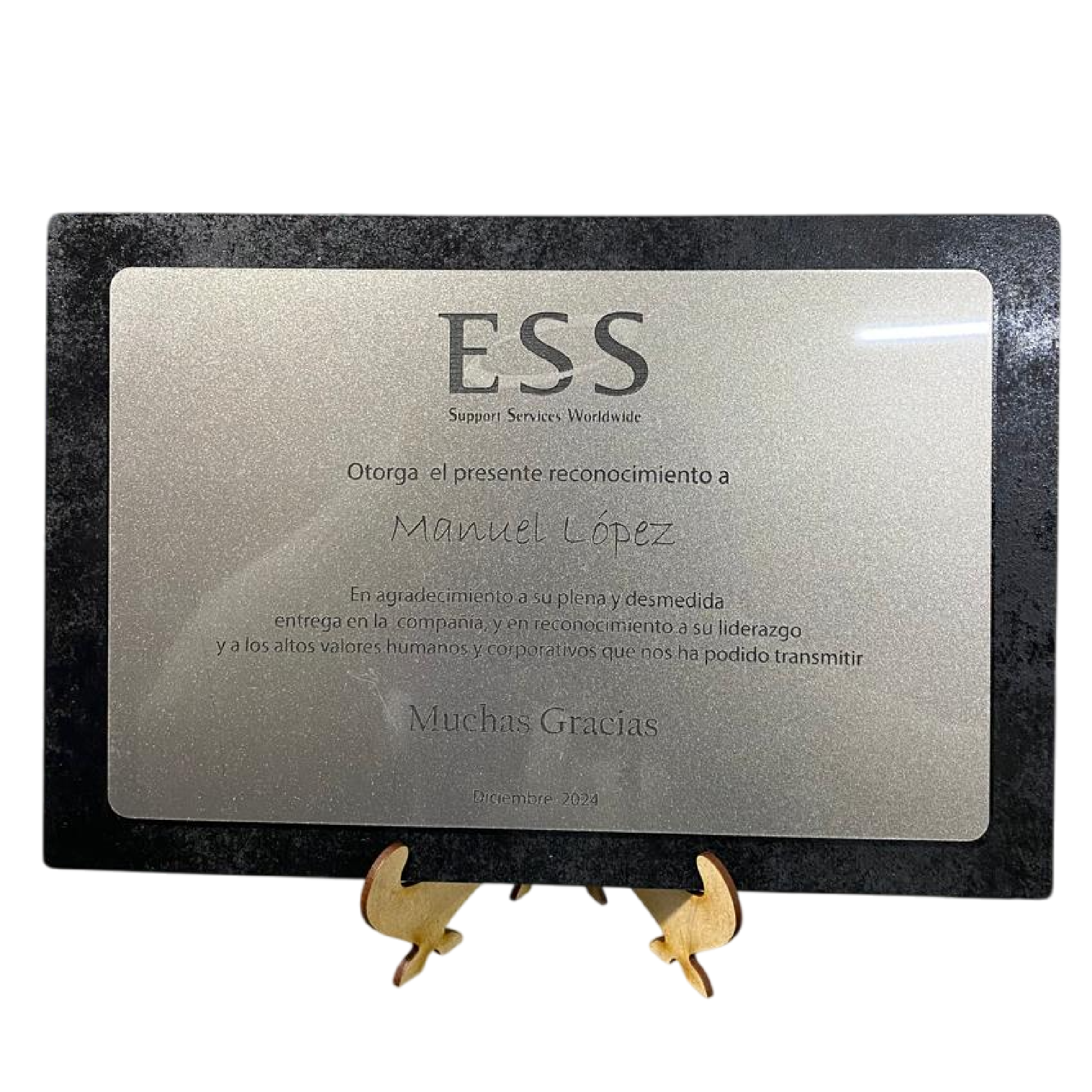Placa Reconocimiento