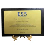 Placa Reconocimiento